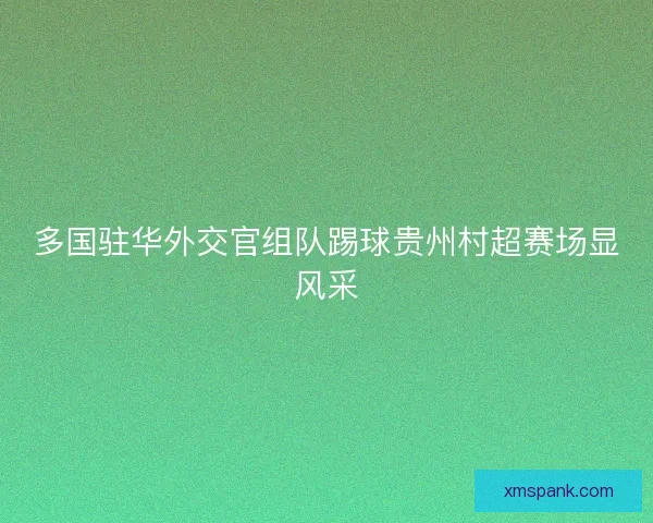 多国驻华外交官组队踢球贵州村超赛场显风采