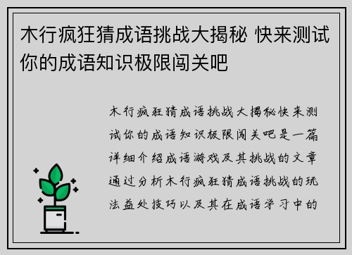 木行疯狂猜成语挑战大揭秘 快来测试你的成语知识极限闯关吧